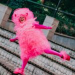 Фьек Кошечка!